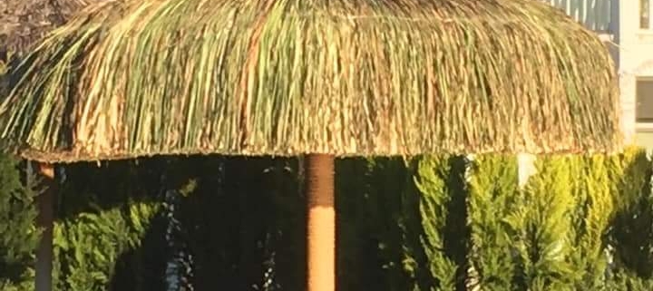 Fethiye Hasır Plaj Şemsiye, Fethiye Hasır Plaj Şemsiye Fiyatları, Fethiye Hasır Plaj Şemsiye Firmaları, Fethiye Hasır Şemsiye, Hasır Plaj Şemsiye Fethiye , Hasır Plaj Şemsiye Firmaları Fethiye , Hasır Plaj Şemsiye Fiyatları Fethiye