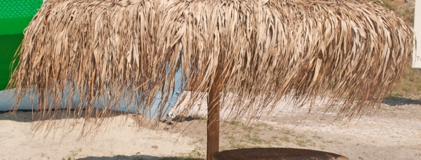 Bambu Kamış Dekor 1 bambu kamis dekor