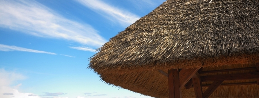 Doğal Ot Kaplama 1 dogal ot kaplama 1