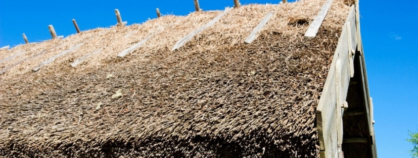 Hasır Gazeba 1 hasir gazebo 1 1