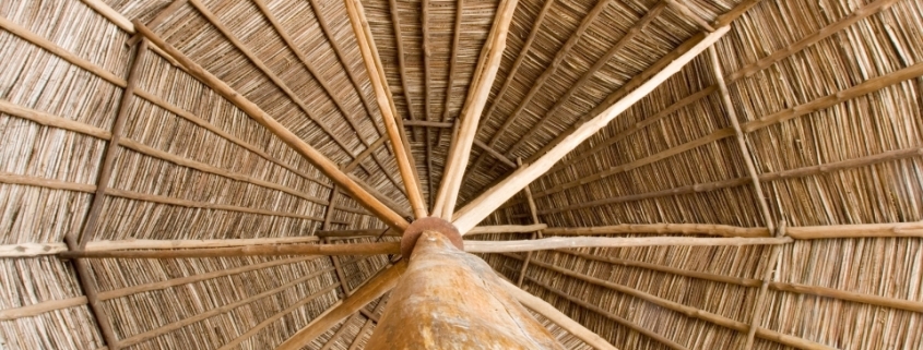 Kamışlar 1 kamislar